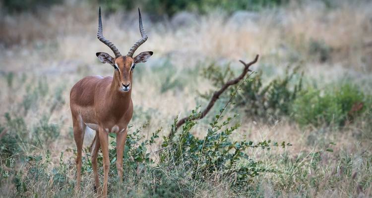 Afrique australe, de Johannesburg au Cap - 20 jours - Timeline Travel DMC 6