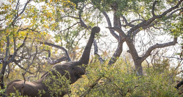 Afrique australe, de Johannesburg au Cap - 20 jours - Timeline Travel DMC 10