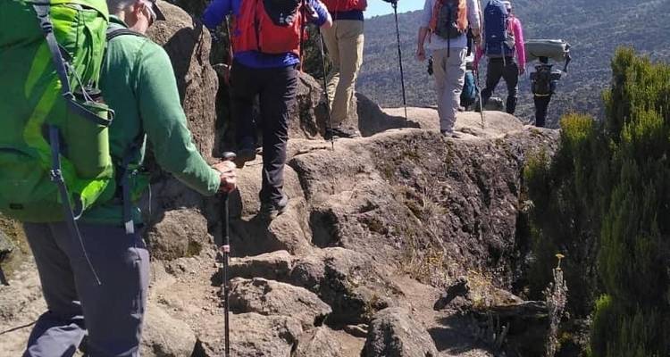 KILIMANJARO-RONGAI ROUTE 7 DAYS TREKKING - Wild Root Safaris & Adventures 7