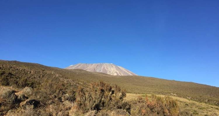 KILIMANJARO-RONGAI ROUTE 7 DAYS TREKKING - Wild Root Safaris & Adventures 6