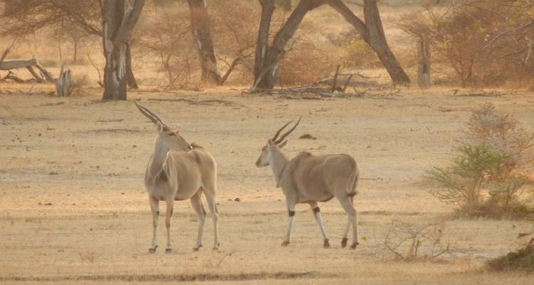 5 jours de vol dans le Selous - loin de tout et de tous - Adventure Makers Tanzania 3
