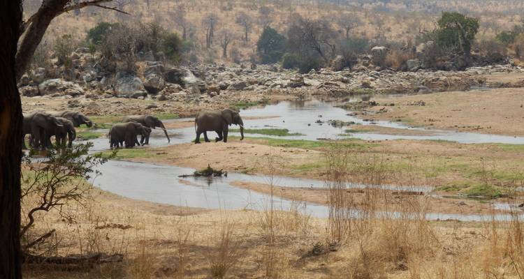 5 jours de vol dans le Selous - loin de tout et de tous - Adventure Makers Tanzania 4