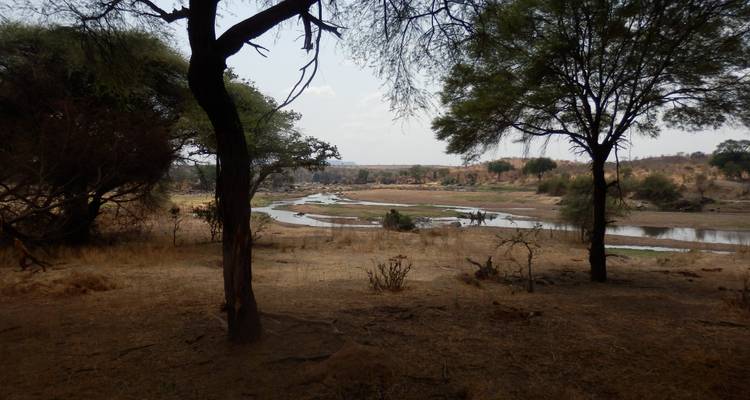 5 jours de vol dans le Selous - loin de tout et de tous - Adventure Makers Tanzania 7