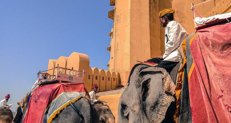 Desierto de la India - 8 días - Chauffeurs In India 2
