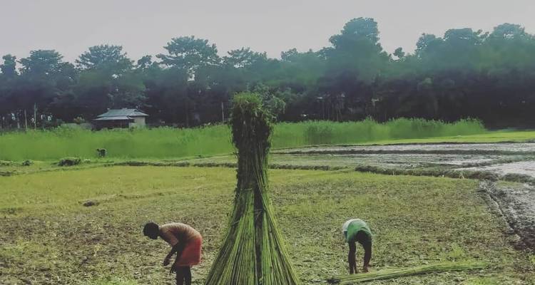 Mystical Sunderban Exploration - Agora Voyages OPC Pvt Ltd 7