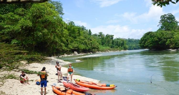 Circuit de 4 jours de camping et de pagaie dans la jungle en Équateur - GUIDEcuador Travel 8
