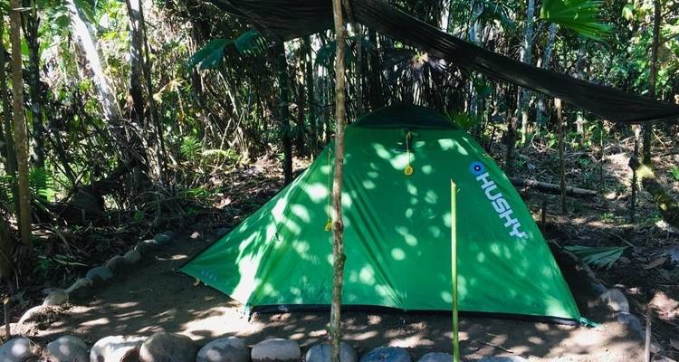 A green tent with a canopy in a forest setting.