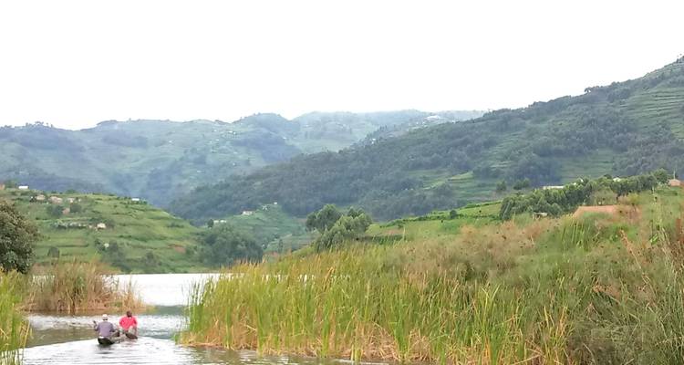 Experimenta Uganda Trekking con Gorilas y Lago Bunyonyi (Exclusivamente Privado) - Devine African Safaris Ltd 5