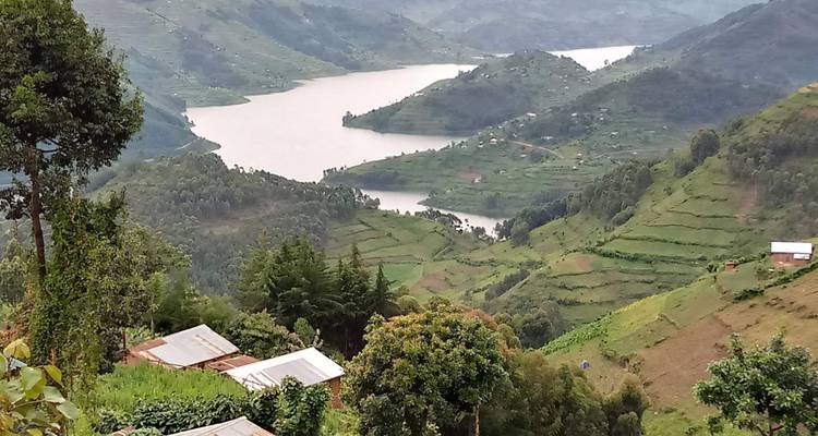 Experimenta Uganda Trekking con Gorilas y Lago Bunyonyi (Exclusivamente Privado) - Devine African Safaris Ltd 6