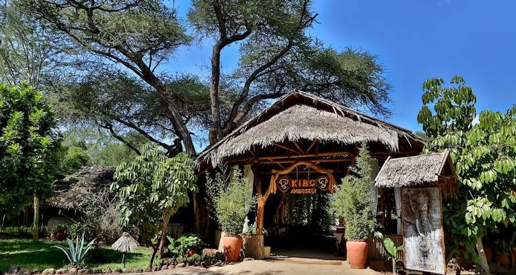 A rustic entrance of a lodge with wooden structure and greenery.