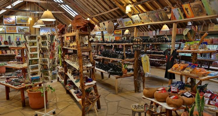An indoor shop with souvenirs and artwork on display.