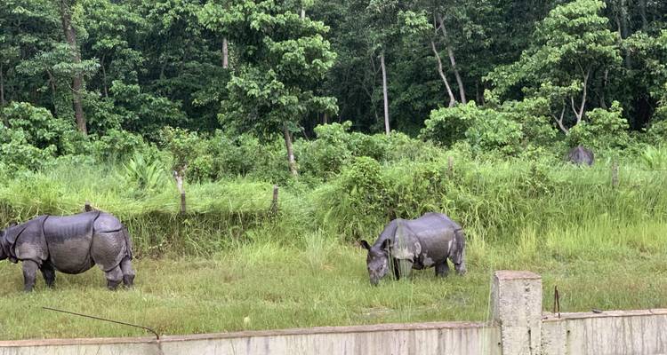 Circuit à Chitwan avec séjour à l'intérieur du parc - Alpine Luxury Treks Pvt Ltd 2