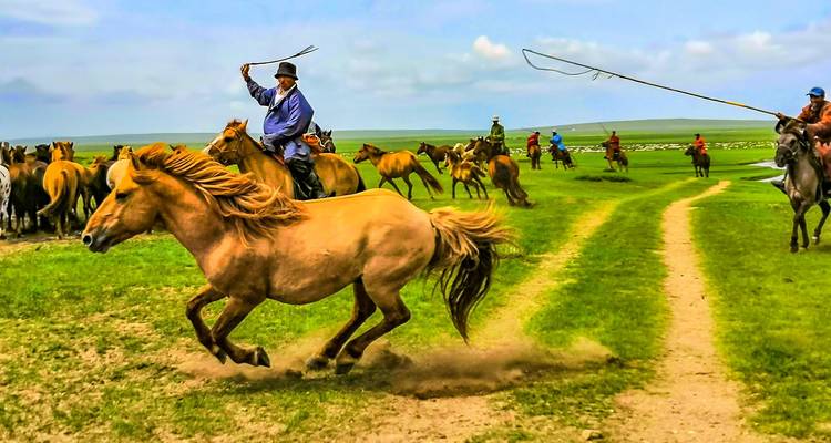 Visita personalizada de 4 días a Ulán Bator con guía y conductor privado - Agate Travel 8