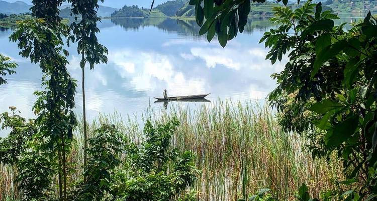 Découvrez les gorilles d'Ouganda, le parc national du lac Mburo et le lac Bunyonyi (en exclusivité) - Devine African Safaris Ltd 3