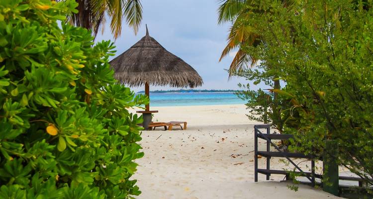 Sentier vers une plage aux eaux turquoise et un parasol de chaume.