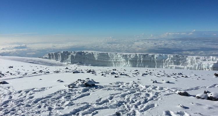 Mt. Kilimanjaro Via Machame Route - Kilimanjaro Trek Tours - 7 jours - Serengeti African Tours 3