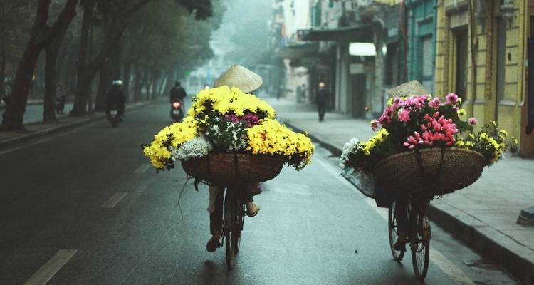 Zwei Radfahrer mit Blumenkörben auf einer nebligen Straße.
