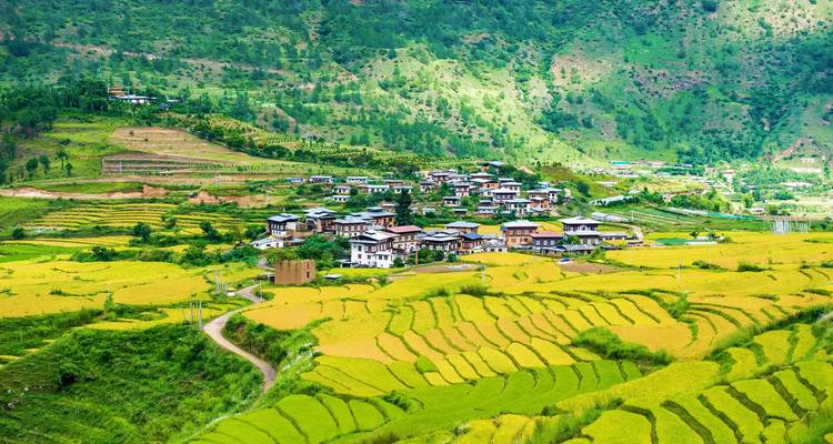 Terrasvelden met klein dorp in Bhutan.