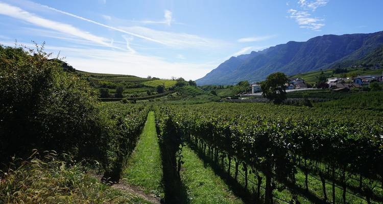 Les vallées alpines d'Italie - Sud Tyrol, Lac de Garde et Vérone - Autoguidage classique - BikesPlus Travel 4