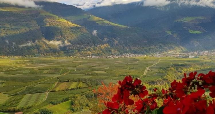 Les vallées alpines d'Italie - Sud Tyrol, Lac de Garde et Vérone - Autoguidage classique - BikesPlus Travel 6
