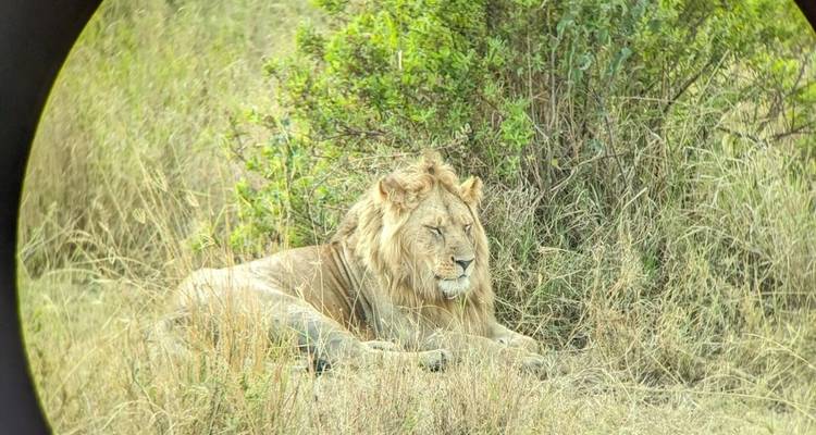 Trekking au Kilimandjaro et safari sur mesure avec option Zanzibar - les vols et l'hébergement peuvent être organisés pour ceux qui souhaitent ajouter cette option. - Kilimanjaro Safari Experience 3