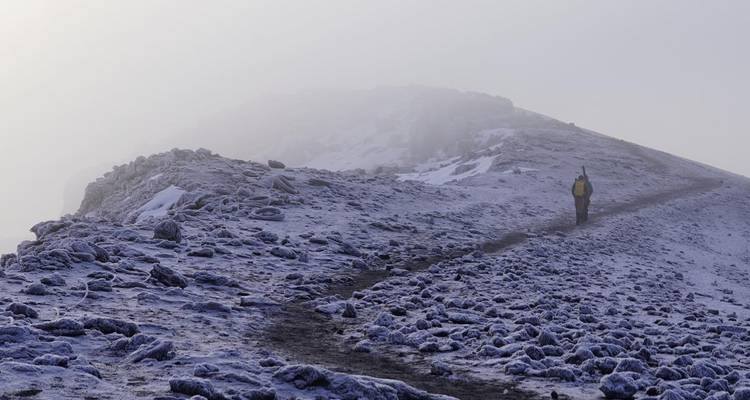 Trekking au Kilimandjaro et safari sur mesure avec option Zanzibar - les vols et l'hébergement peuvent être organisés pour ceux qui souhaitent ajouter cette option. - Kilimanjaro Safari Experience 10