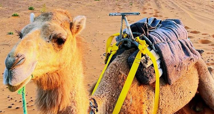3-Day Private Desert Tour from Marrakech to Merzouga - Tilila Travel 4