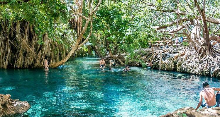 Menschen, die in einer klaren natürlichen Quelle schwimmen, umgeben von üppigem Grün.