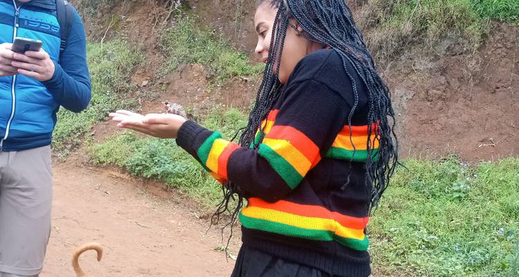 Frau hält ein kleines Tier, während eine andere Person in der Nähe ist.