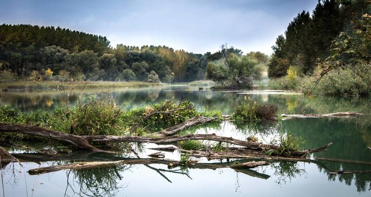 Danube Serenade: Romantic Journey from Vienna to Turnu Magurele (Bucharest), MS Fidelio - Crucemundo  3