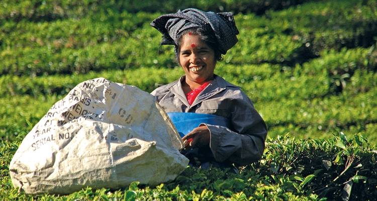 Inde du Sud - Intrepid Travel 10