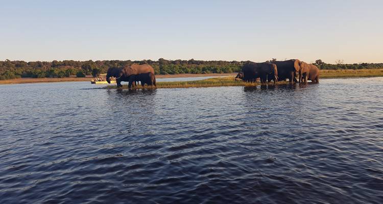 From Namibia to Botswana and Zimbabwe - Motema Tours and Safaris 2