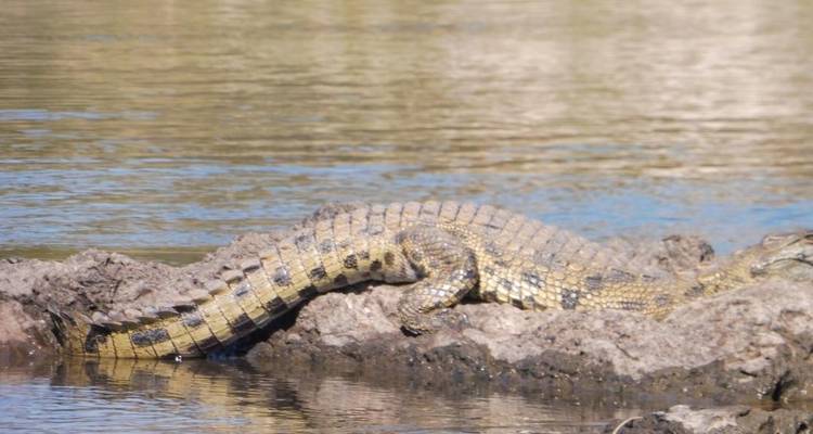 From Namibia to Botswana and Zimbabwe - Motema Tours and Safaris 4