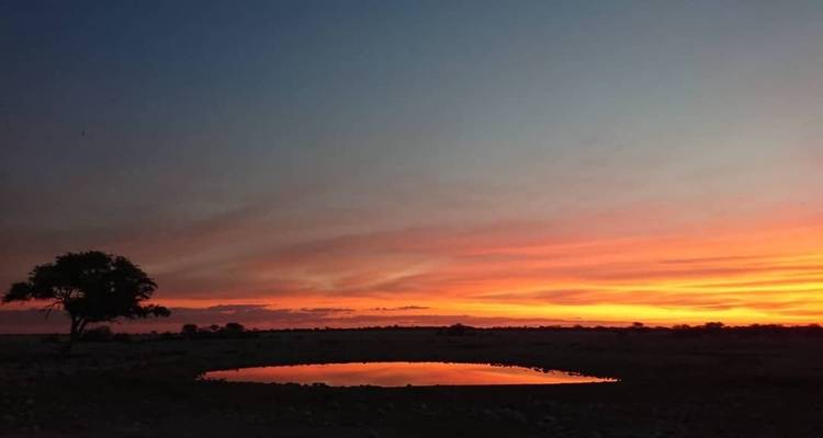 From Namibia to Botswana and Zimbabwe - Motema Tours and Safaris 1