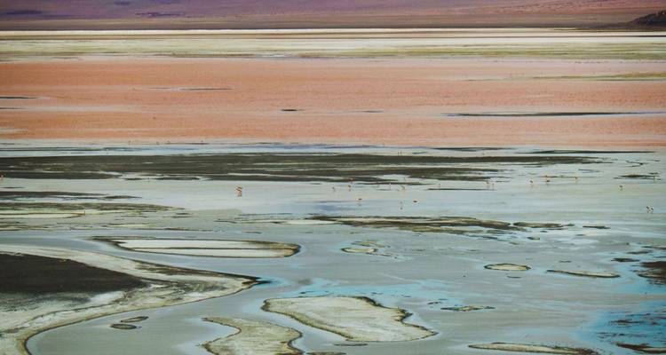 Laguna de gran altitud con capas de color, depósitos minerales y flamencos a lo lejos en el Altiplano