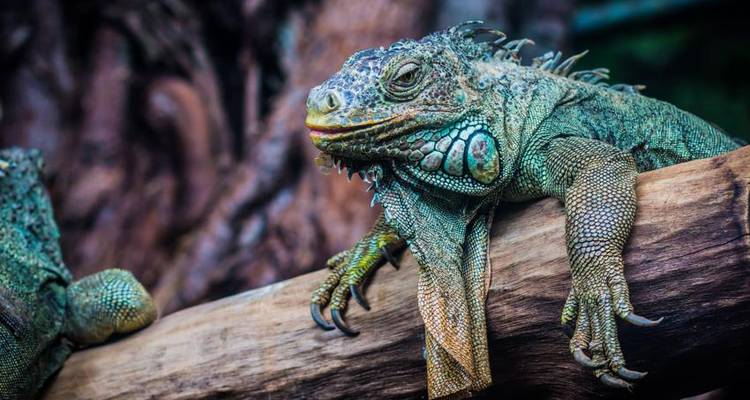 Galapagos Island Hopping Adventure 7D/6N - Bamba Travel 3