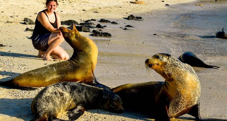 Galapagos Island Hopping Adventure 7D/6N - Bamba Travel 6