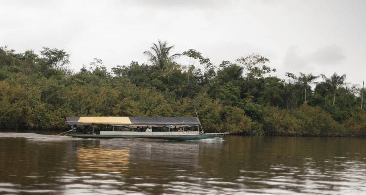 Una larga canoa motorizada se desliza a través de un tranquilo río marrón bordeado por la densa vegetación de la selva amazónica.