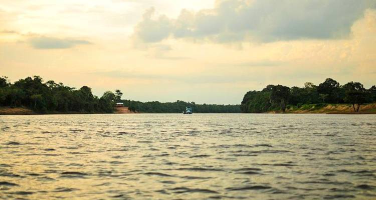 Aventure dans la jungle amazonienne de Manaus 5J/4N - Bamba Travel 3