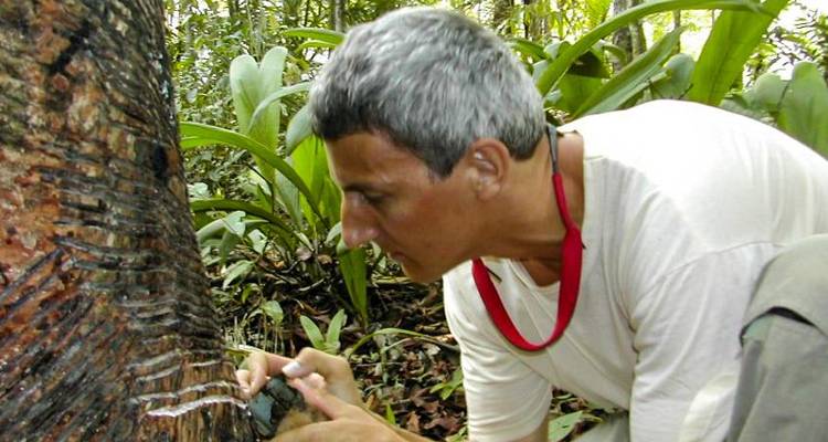 Aventure dans la jungle amazonienne de Manaus 5J/4N - Bamba Travel 6