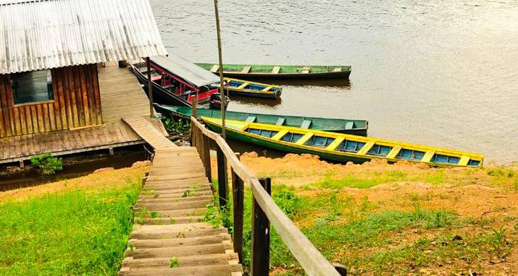 Aventure dans la jungle amazonienne de Manaus 5J/4N - Bamba Travel 7