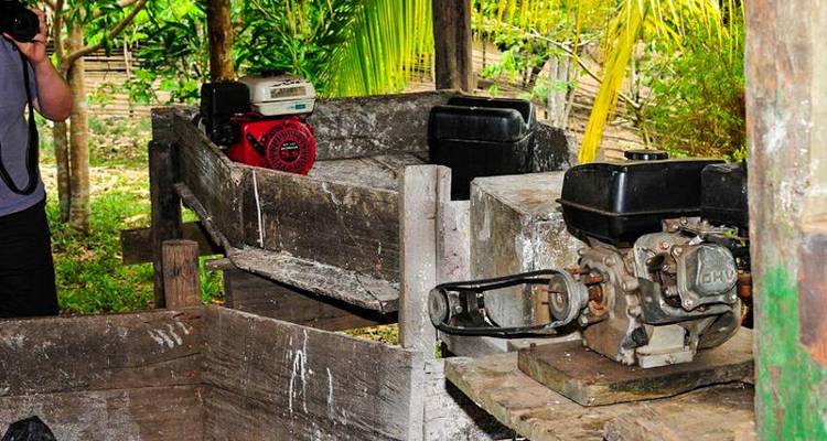 Aventure dans la jungle amazonienne de Manaus 5J/4N - Bamba Travel 9