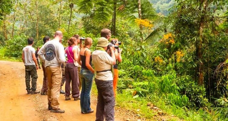 Manu Amazon Adventure 5D/4N - Bamba Travel 1