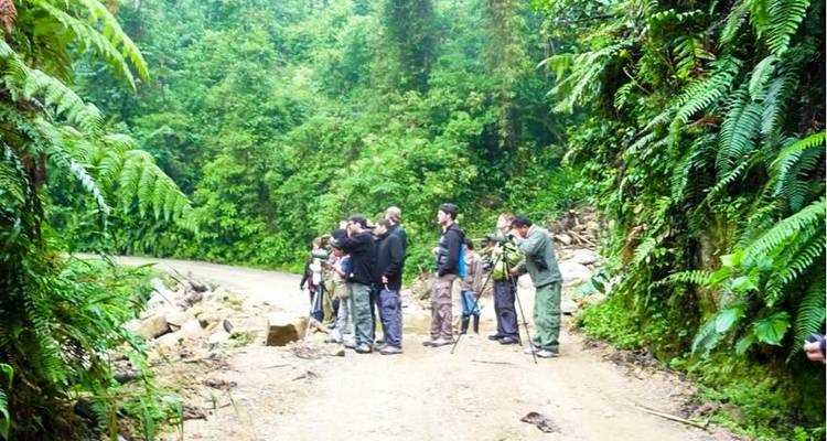 Manu Amazon Adventure 5D/4N - Bamba Travel 2