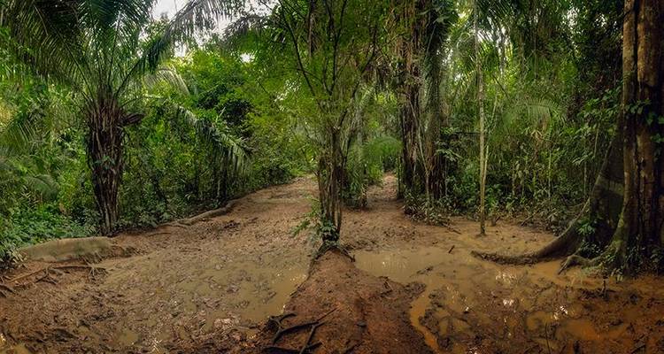 Puerto Maldonado Amazon Eco- Lodge 5J/4N - de Puerto Maldonado - Bamba Travel 10