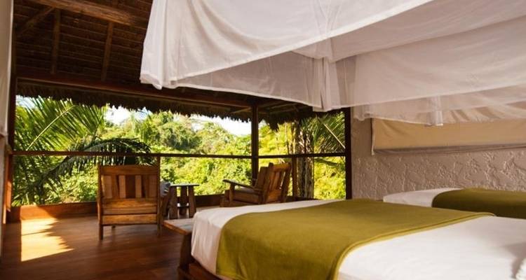 Puerto Maldonado Amazon Superior Lodge 4D/3N (from Puerto Maldonado) - Bamba Travel 8
