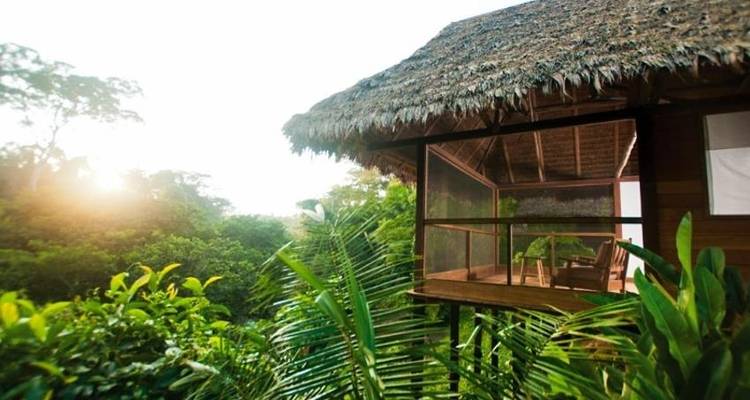 Puerto Maldonado Amazon Superior Lodge 4D/3N (from Puerto Maldonado) - Bamba Travel 10