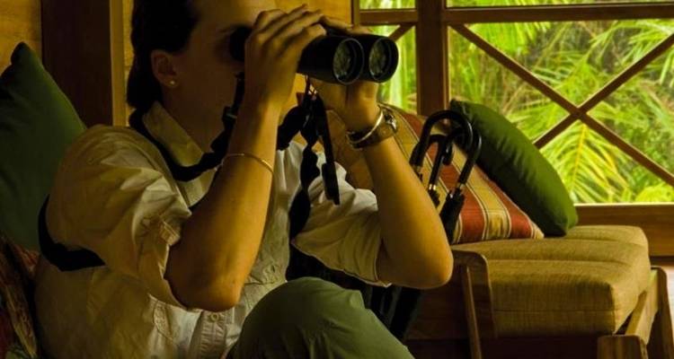 Puerto Maldonado Amazon Superior Lodge 4D/3N (from Puerto Maldonado) - Bamba Travel 7