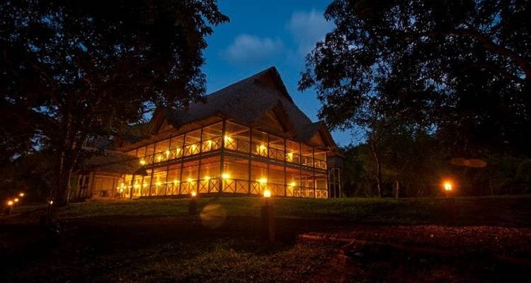 Puerto Maldonado Amazon Superior Lodge 4D/3N (from Puerto Maldonado) - Bamba Travel 4