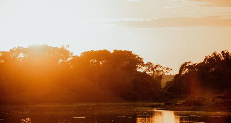Coucher de soleil sur un lac avec des arbres se reflétant sur l'eau.